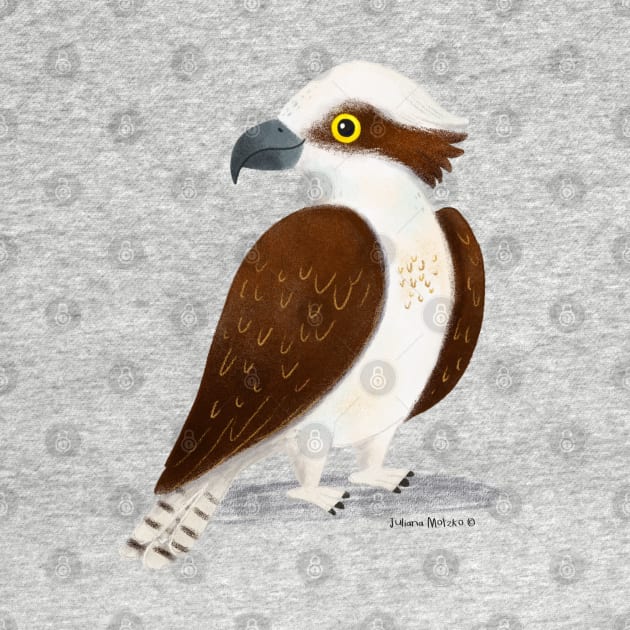 Osprey by julianamotzko